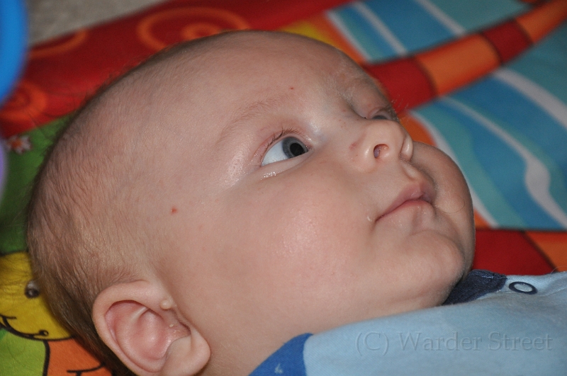 William's Tenth Week 15.jpg